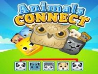 Animals connect