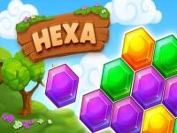Hexa fever summer