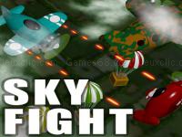 Sky fight