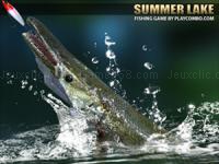 Jeu mobile Summer lake