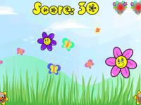 Jeu mobile Flower boom