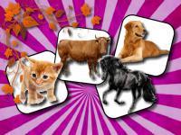 Jeu mobile Domestic animal memory challenge