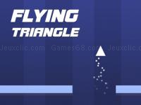 Flying triangle