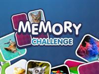 Memory challenge