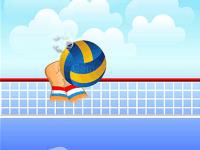 Volley ball