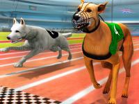 Jeu mobile Real dog racing simulator 3d