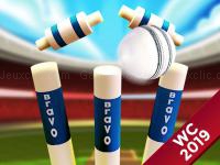 Jeu mobile Cricket world cup game 2019 mini ground cricke