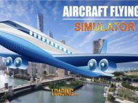 Aircraft flying simulator