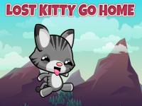 Lost kitty go home