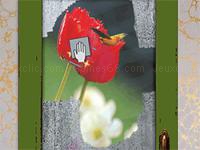 Season wiping window