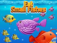 Eat small fishes