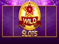 Wild slot