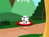 Soccer target