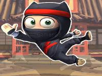 Super ninja adventure