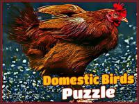 Jeu mobile Domestic birds puzzle