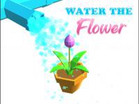 Jeu mobile Water the flower