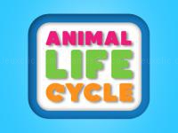 Jeu mobile Animal life cycle