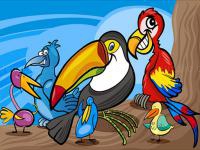 Jeu mobile Exotic birds coloring