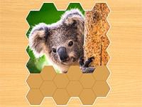 Jigsaw puzzles hexa