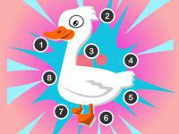 Jeu mobile Point to point birds