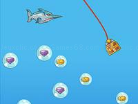 Tako treasure of the sea