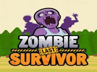 Zombie last survivor
