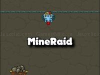 Mineraid