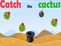 Catch the cactus