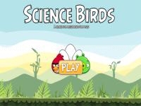 Science birds