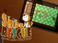 Shiba rescue : dogs and puppies