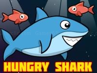Hungry shark