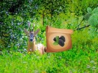 Return to alsunga forest