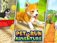 Pet run adventure puppy run