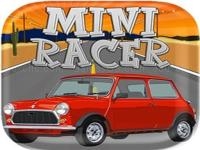 Mini racer rider