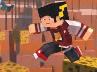 Minicarft block survival