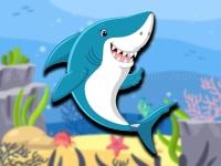 Dady shark adventure
