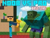 Noob vs pro - boss levels