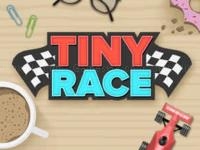 Tiny race - toy car racing
