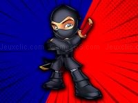 Ninja rian adventure
