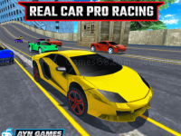 Real car pro racing