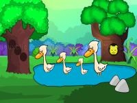 Duck farm escape