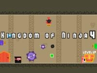 Kingdom of ninja 4