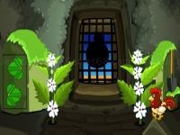 Hen family rescue series 1