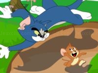 Tom and jerry in cooperation