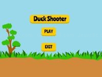 Duck shooting