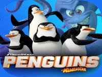 Combat penguin shooter