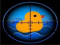 Quick duck shoot