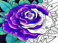 Coloring book color by number