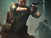 Bears : zombie shooting