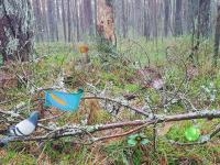 Bernati forest adventure